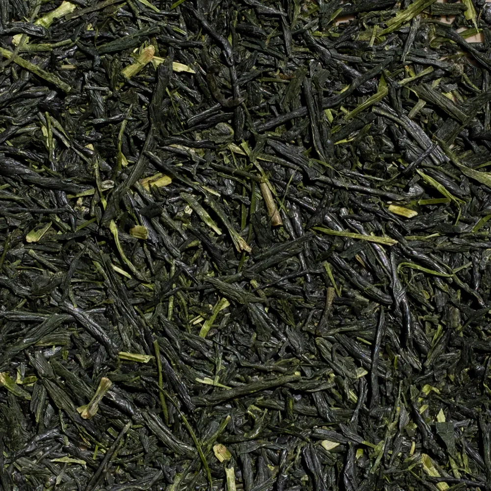 Gyokuro-Nishi-Zoom.webp