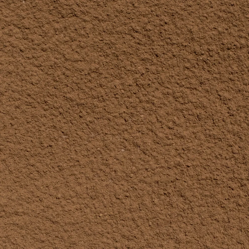 Hojicha-Zoom.webp