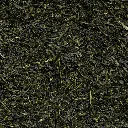 Tsuyu-Sencha-P-Zoom.webp