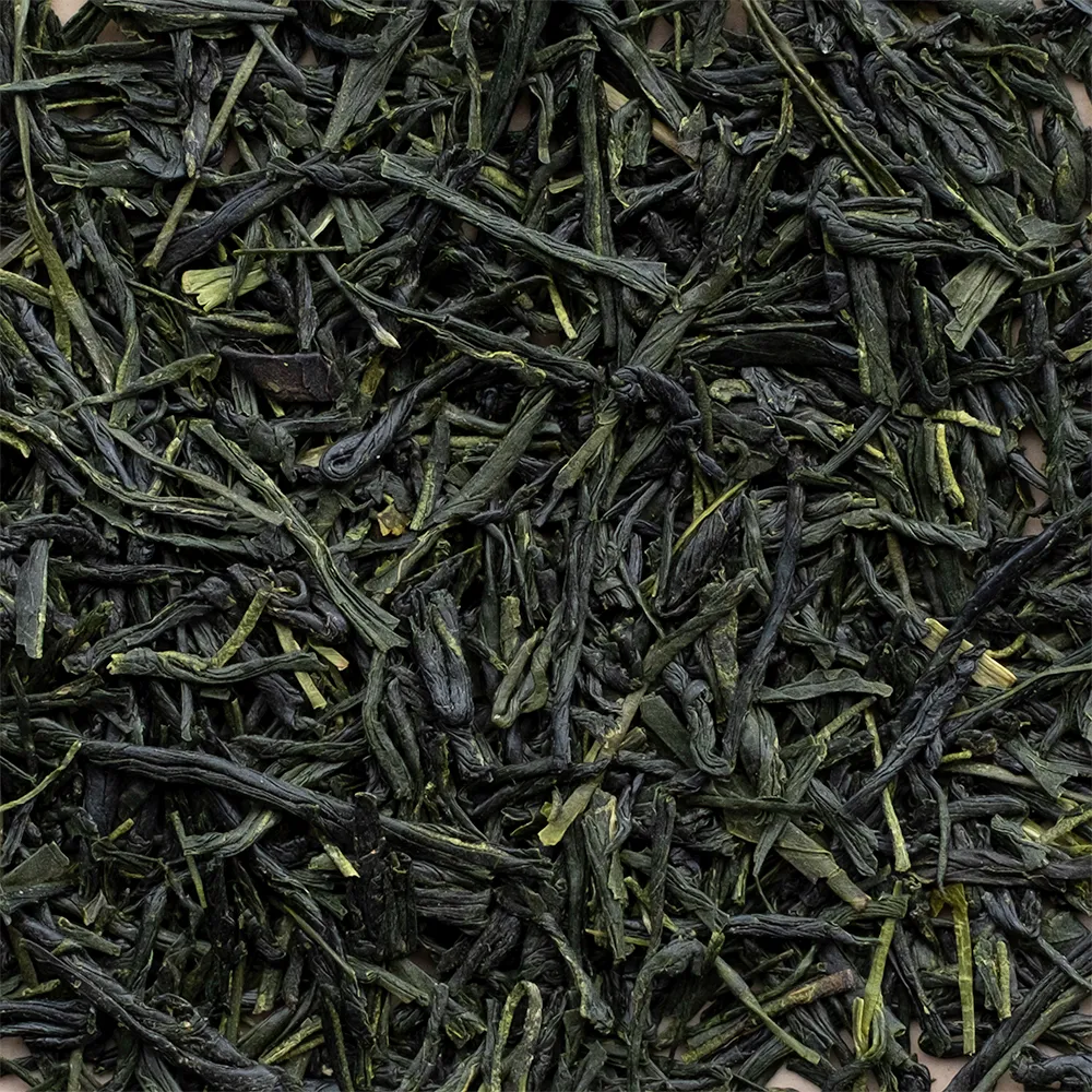 Hongyokuro-Saito-Zoom.webp