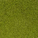Zui-Zoom.webp