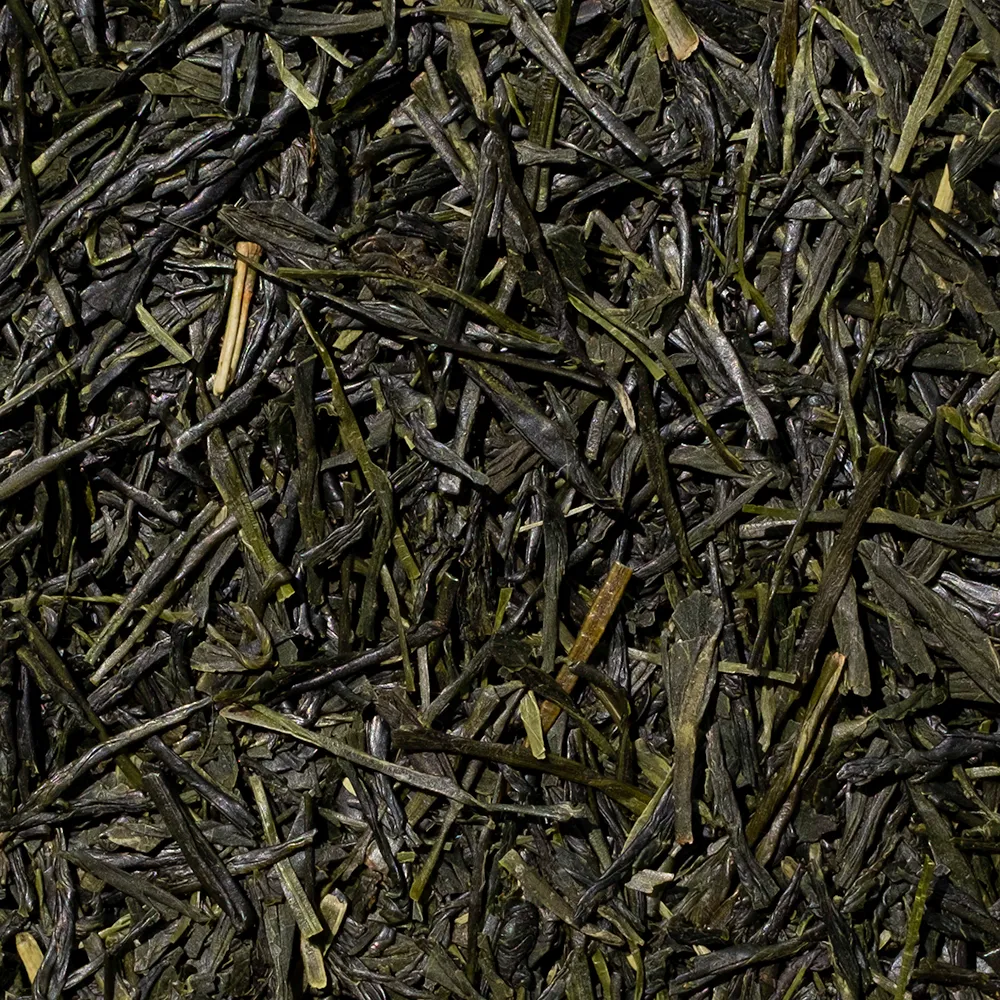 Sencha-Seiryu-Zoom.webp