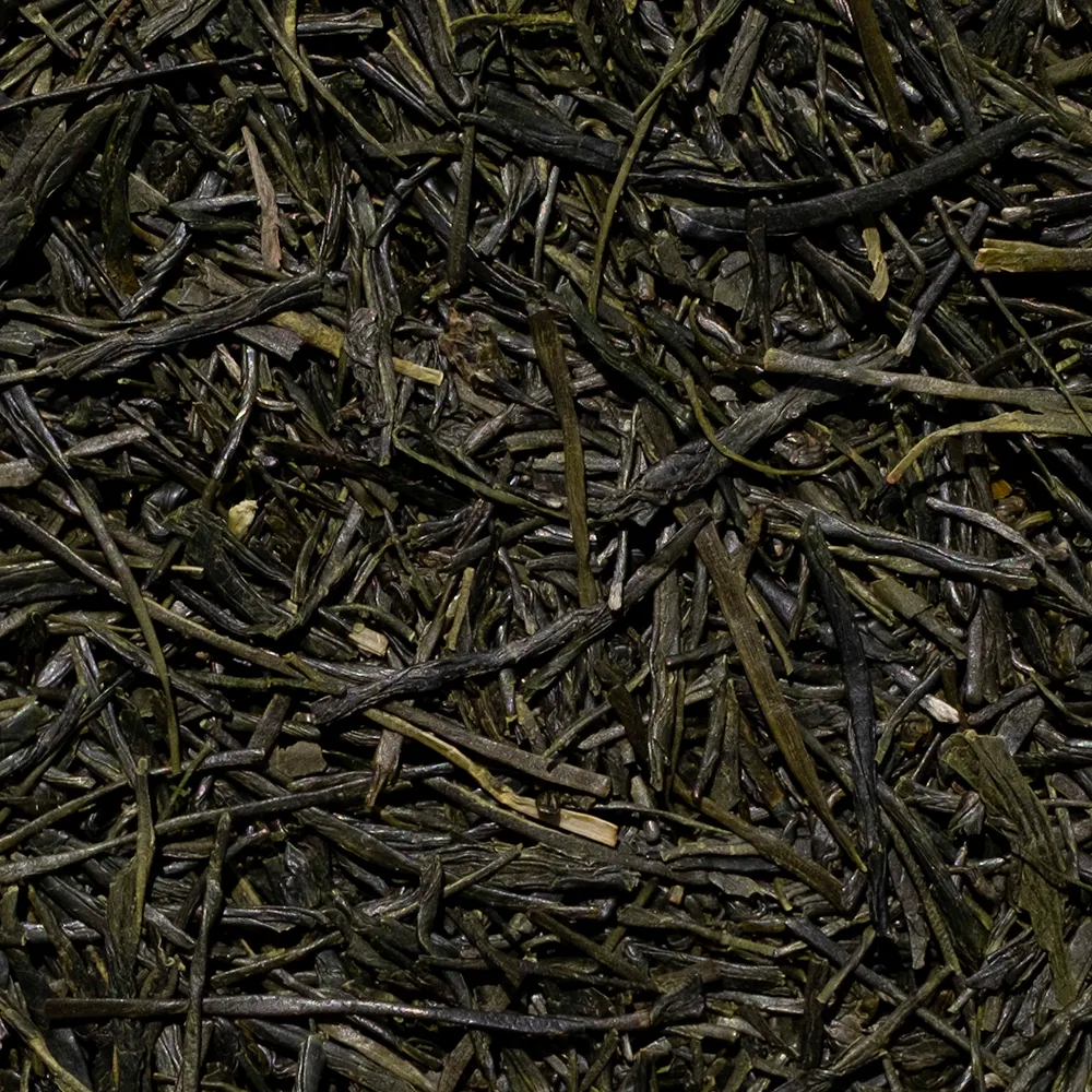 Sencha-Seseraghi-Zoom.webp